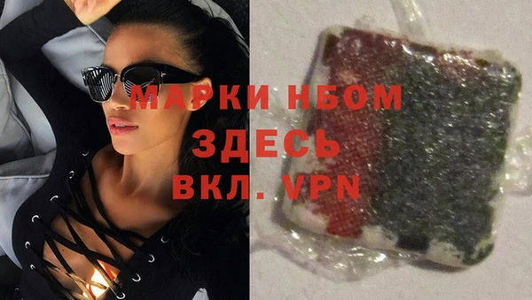 шишки Новозыбков