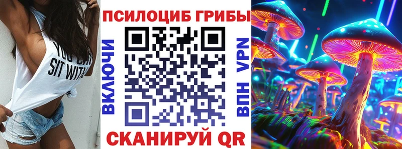 Галлюциногенные грибы Psilocybe  где купить   Советск 